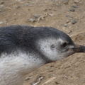 20120207-10h07m47-CHi
