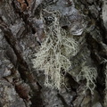 20120208-11h03m28-CHi