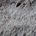 20120215-11h07m48-CaT
