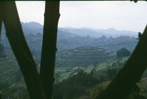 1989_Rwanda_collines
