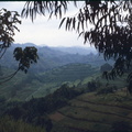 1989_Rwanda_collines_2.jpg