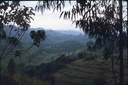 1989_Rwanda_collines_2