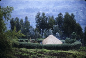 1990_08_Rwanda_hutte