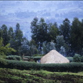 1990_08_Rwanda_hutte.jpg