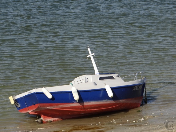 DSC06772
