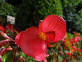 dsc04785