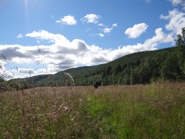 DSC06287