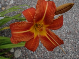 20120801-13h17m34-Chi