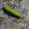 20120803-14h30m58-Chi