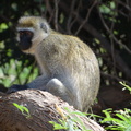 20150806-08h59m14-chi.jpg