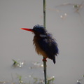 20150813-08h25m09-chi.jpg