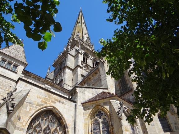 DSC07583.JPG