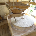 DSC07819.JPG