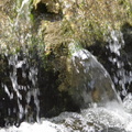 DSC08104.JPG
