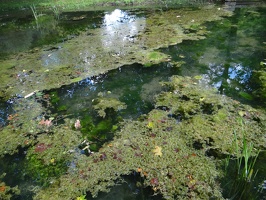 DSC08150.JPG