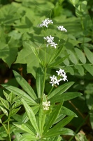 20200508-08h41m18-CHi.jpg